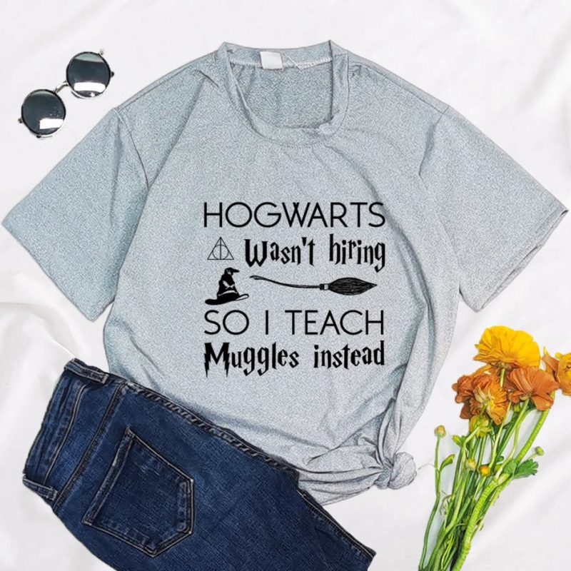 Teaching Muggles Because Hogwarts Closed Its Doors - Image 12