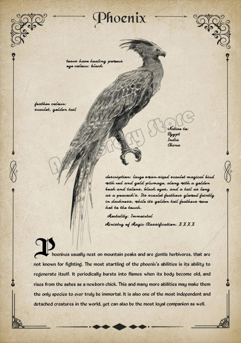 Retro Wizard World Magical Creatures Wall Art Poster - Image 12