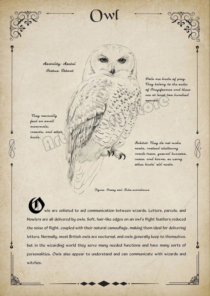 Retro Wizard World Magical Creatures Wall Art Poster - Image 14