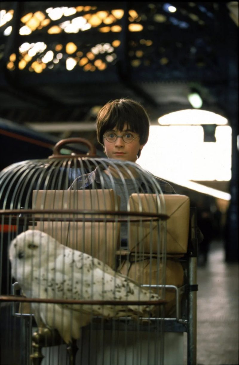 Harry Potter Magic School Square 5D Diamond Painting - Image 22