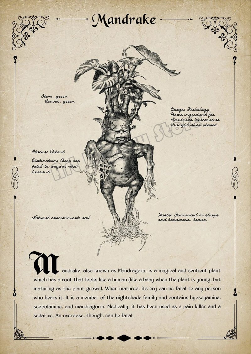 Retro Wizard World Magical Creatures Wall Art Poster - Image 13