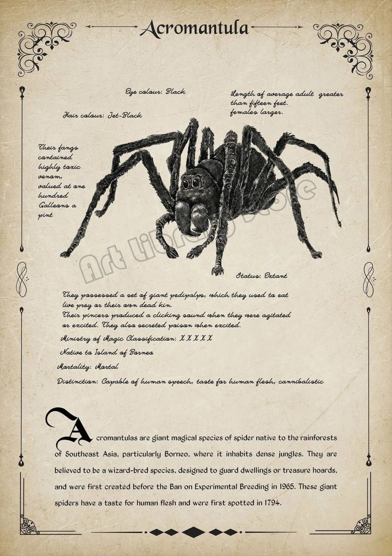 Retro Wizard World Magical Creatures Wall Art Poster - Image 8
