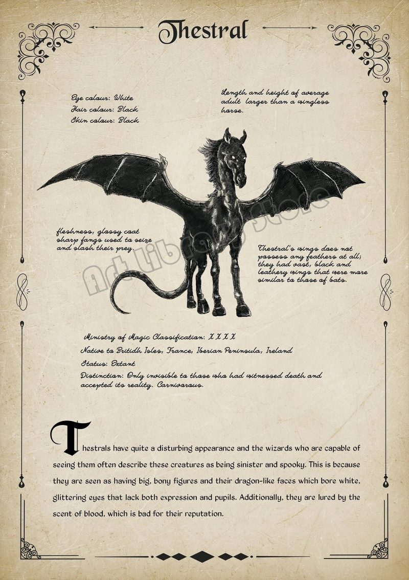Retro Wizard World Magical Creatures Wall Art Poster - Image 9